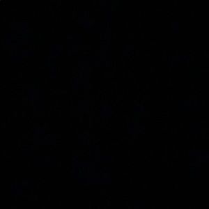 Meet your Posher, Maggie